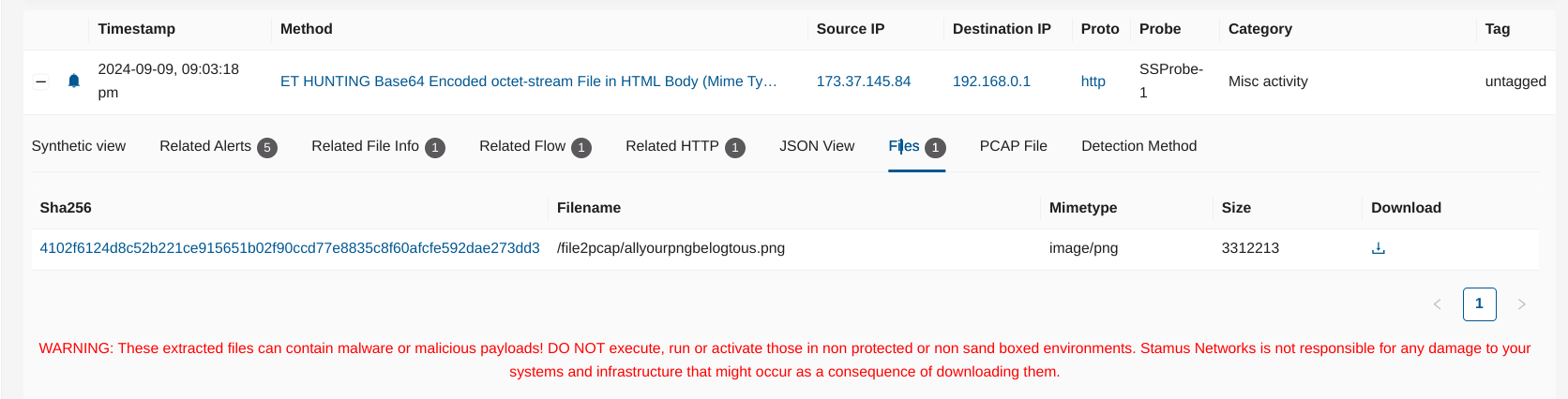 Downloading an extracted file